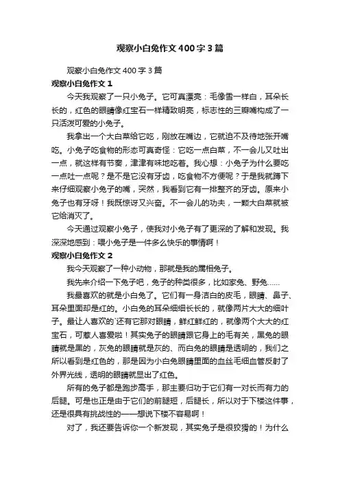 观察小白兔作文400字3篇