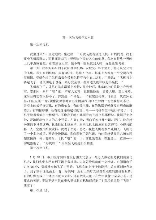 第一次坐飞机作文六篇