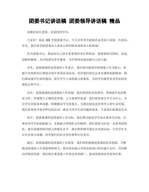 团委书记讲话稿 团委领导讲话稿 精品