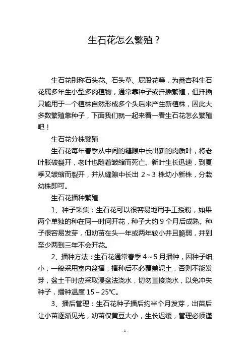 生石花怎么繁殖？