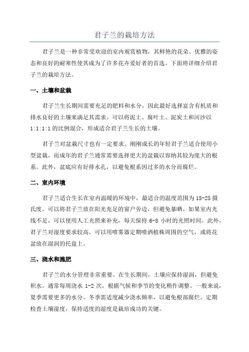 君子兰的栽培方法