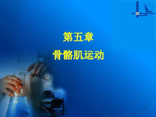 05-第五章骨骼肌运动 Microsoft PowerPoint 演示文稿