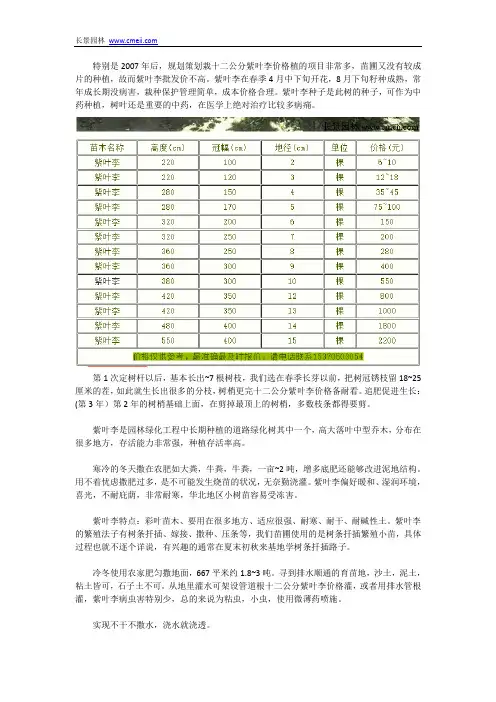十二公分紫叶李价格
