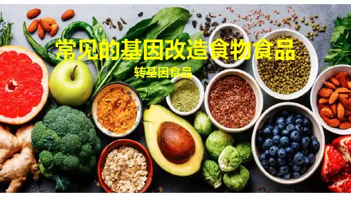 常见的基因改造转基因食物食品