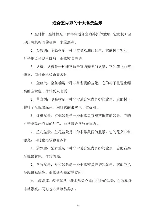 适合室内养的十大名贵盆景