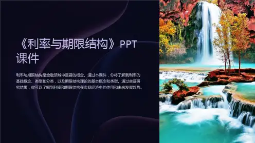 《利率与期限结构》课件