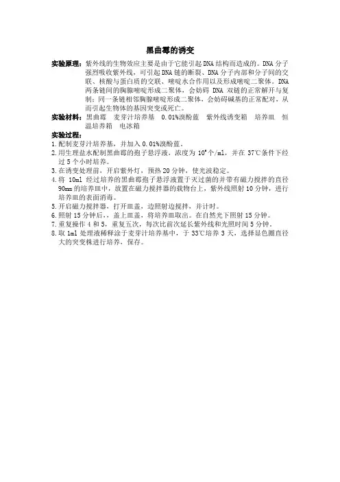 黑曲霉的诱变
