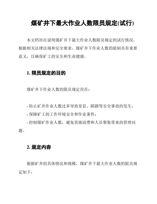 煤矿井下最大作业人数限员规定(试行)