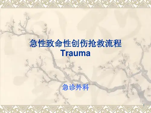 急性创伤的诊断治疗原则及抢救流程ppt课件