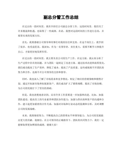 副总分管工作总结