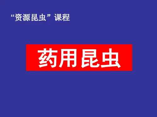 药用昆虫