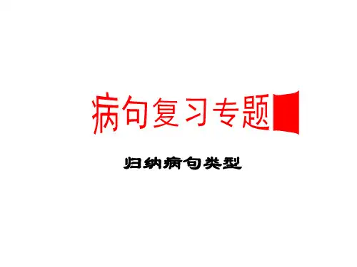 病句类型六种 归纳
