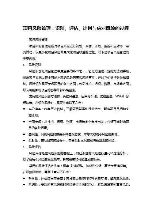 项目风险管理