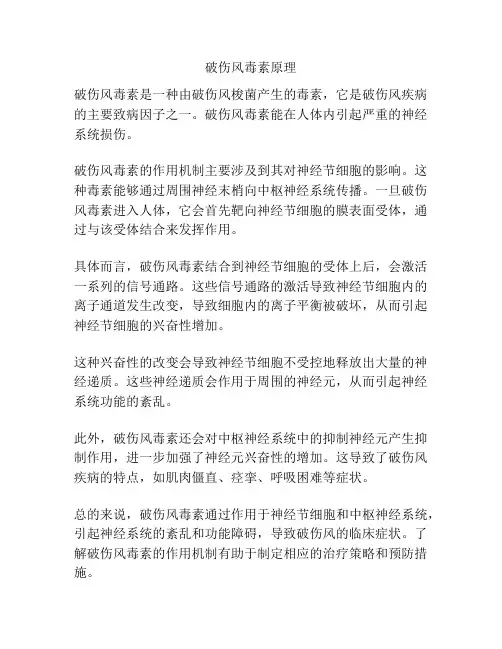 破伤风毒素原理
