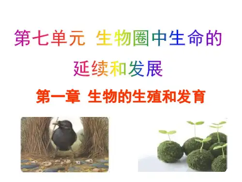 人教版生物八年级下册全套课件