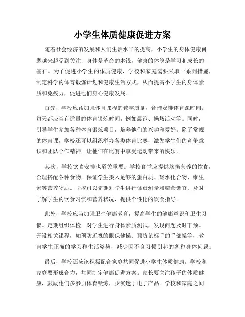 小学生体质健康促进方案