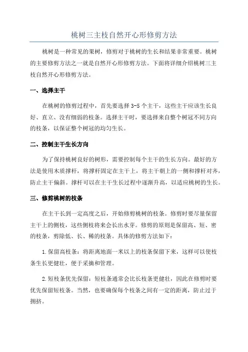 桃树三主枝自然开心形修剪方法