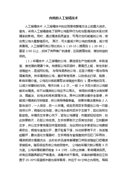 肉鸡的人工受精技术
