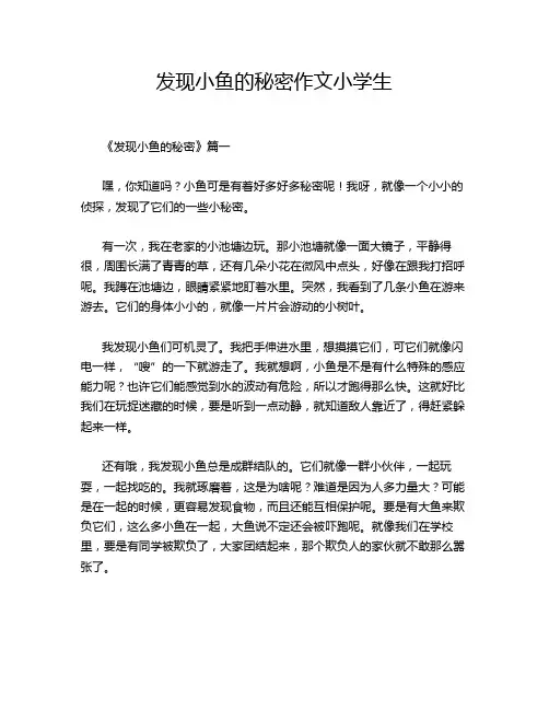 发现小鱼的秘密作文小学生