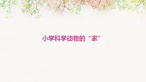 小学科学动物的“家”课件ppt