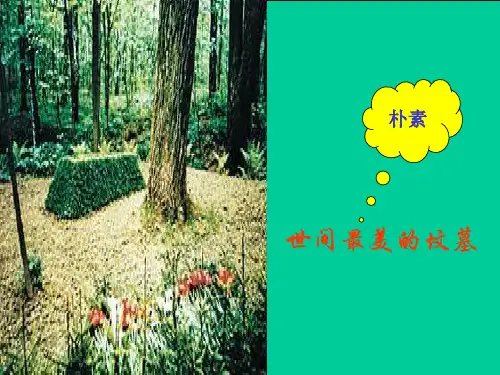 世间最美的坟墓PPT教学课件