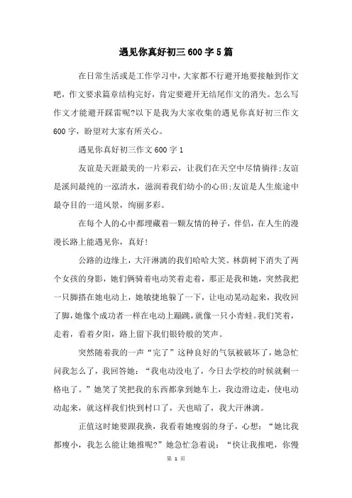 遇见你真好初三600字5篇