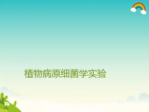 植物病原细菌学实验