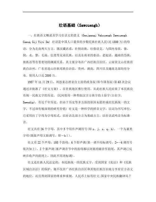 壮语基础(Sawcuengh)