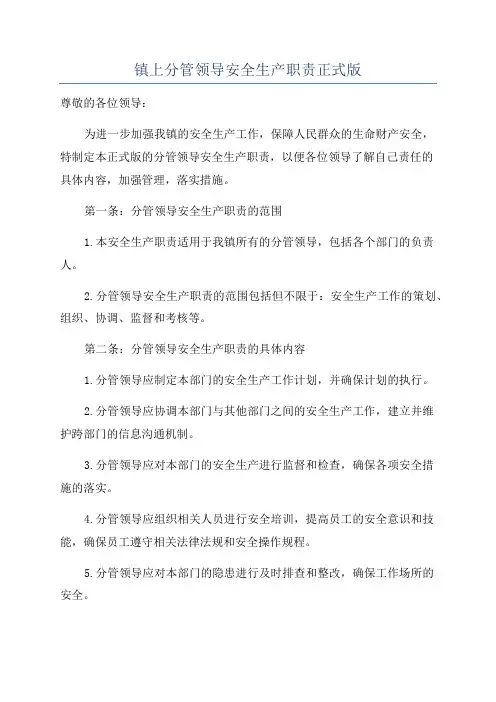 镇上分管领导安全生产职责正式版