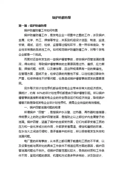 锅炉防磨防爆