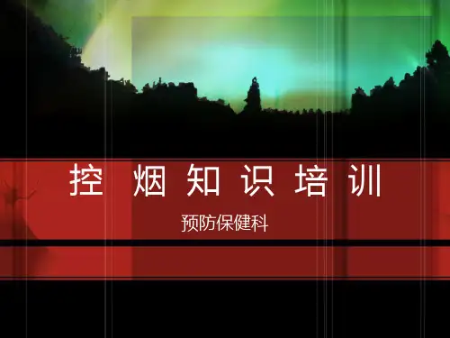 控烟知识培训  ppt课件