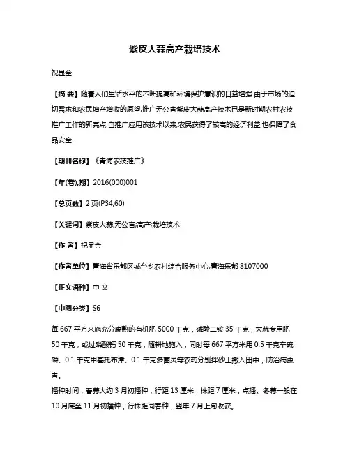 紫皮大蒜高产栽培技术