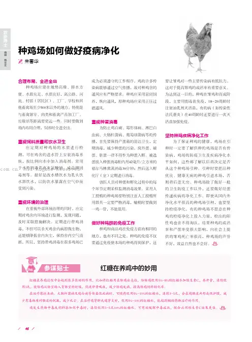 种鸡场如何做好疫病净化