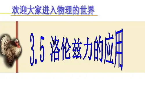 理洛伦兹力的应用