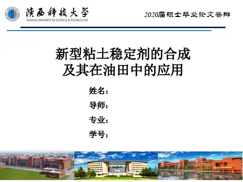 新型粘土稳定剂的合成及其在油田中的应用硕士毕业答辩PPT