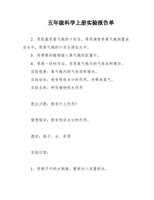 五年级科学上册实验报告单