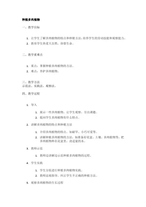种植多肉植物精品教案