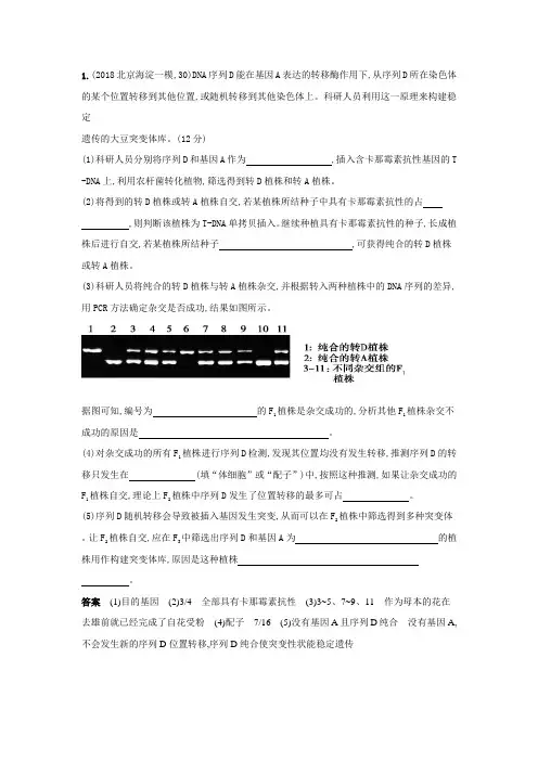 分离定律练习题及答案