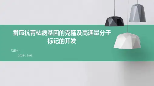 番茄抗青枯病基因的克隆及高通量分子标记的开发