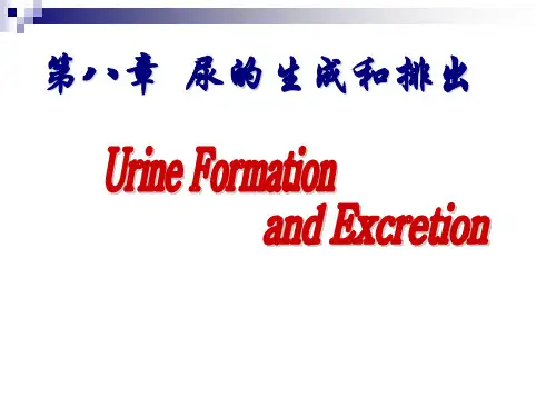 临床生理学PPT第八章  尿的生成和排出课件