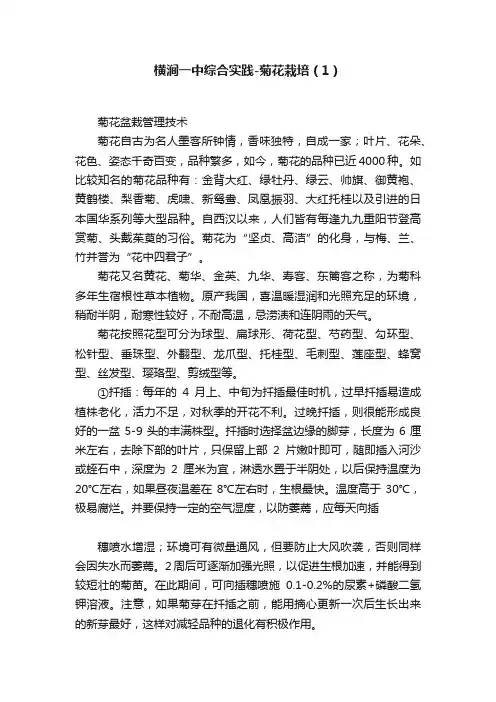 横涧一中综合实践-菊花栽培（1）