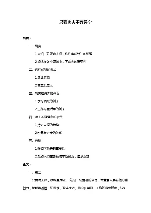 只要功夫不孬叠字