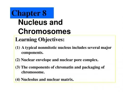 8.Nucleus and Chromosomes