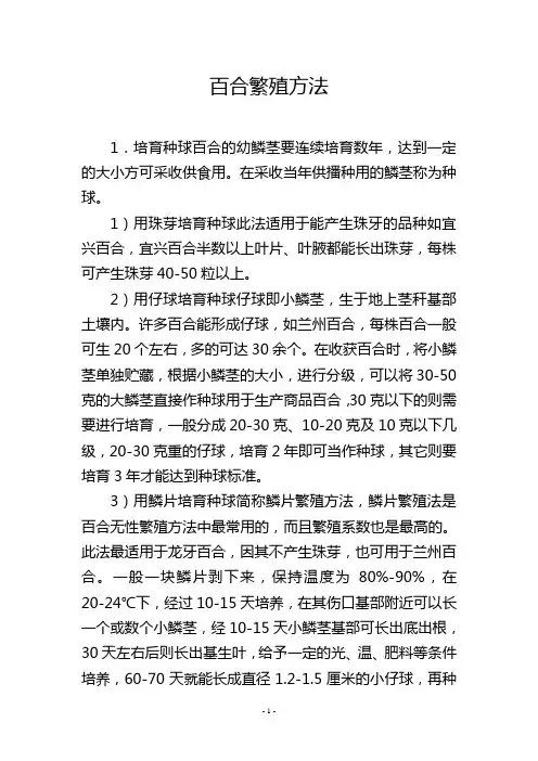 百合繁殖方法