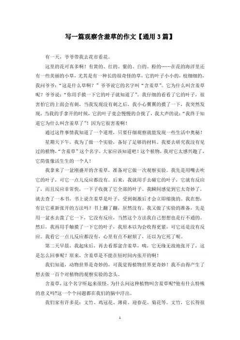 精选写一篇观察含羞草的作文【通用3篇】