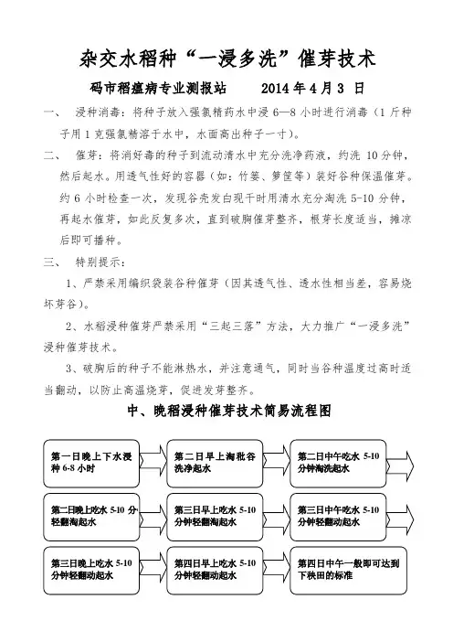 杂交稻种“一浸多洗”催芽技术