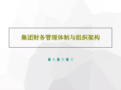 集团财务管理体制与组织架构共111页文档