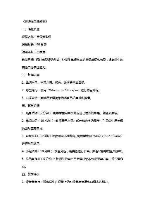 《英语微型课教案》