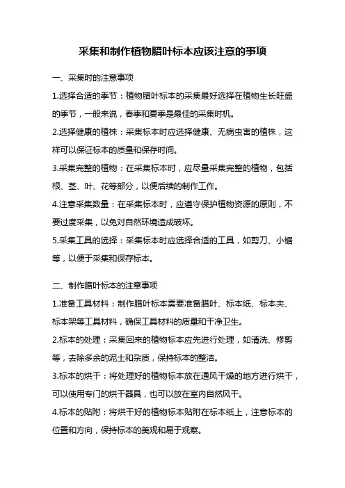 采集和制作植物腊叶标本应该注意的事项