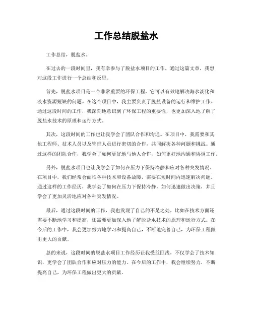工作总结脱盐水